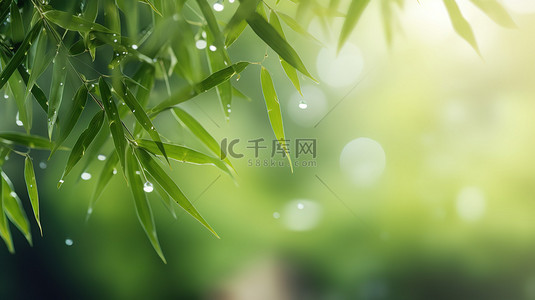 树叶上的水滴背景图片_春天雨水树叶上的水滴背景素材