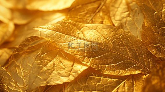 金色叶子质感纹理背景3