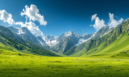 阿尔卑斯山鲜绿色的草地和白雪皑皑的山峰