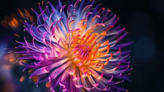 超高清png画框背景图片_美丽的特效花花朵20