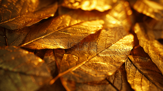 金色叶子质感纹理背景15