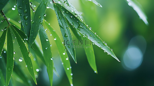 水滴树叶背景图片_春天雨水树叶上的水滴设计