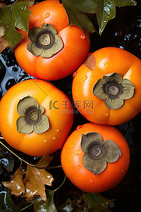 枫叶中背景图片_色彩缤纷的柿子浸在橙汁中，坐在叶子上