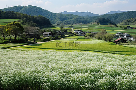 村庄规划背景图片_韩国的一个古老村庄在春天绽放