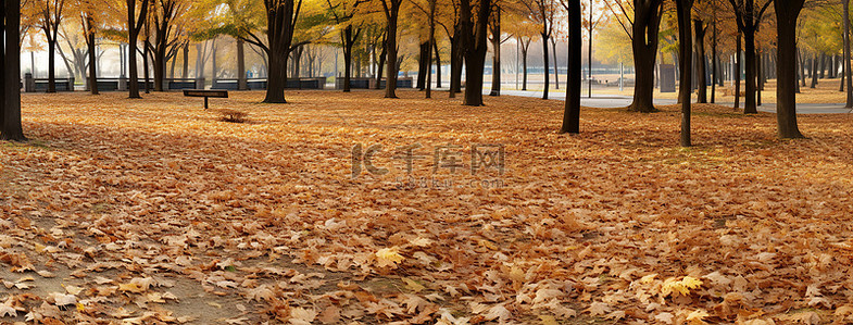 写真背景图片_秋季美女写真10 秋季公园