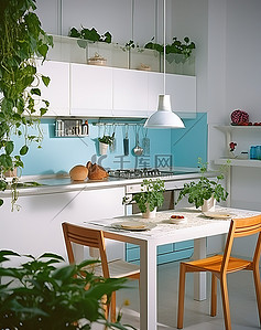 现代小厨房，白色墙壁白色橱柜和绿色植物