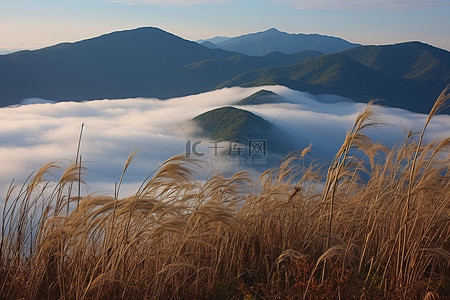 山中景色背景图片_云中周围群山的景色