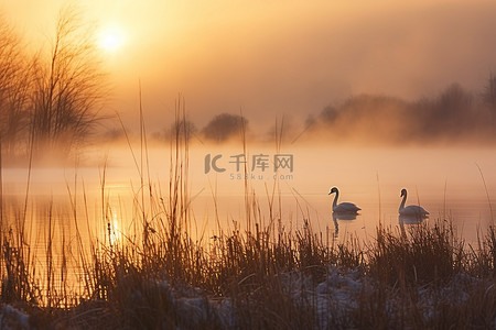 湖上游船卡通背景图片_水面上有雾的日出