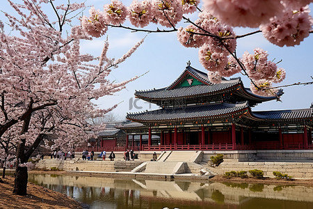 杏花建筑背景图片_传统的宫殿与美丽的樱花相伴