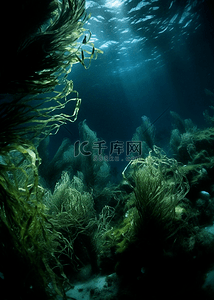 动物世界海洋动物背景图片_海底海草绿色背景