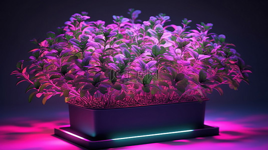 农场植物背景图片_LED 生长灯照亮蓬勃发展的百里香植物的 3D 插图