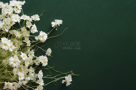 白色的花朵铺在绿色的表面上