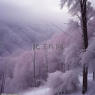 山背景图片_田纳西州北部蒂恩加森县的多莉山滑雪区有许多不同的树木覆盖着白霜