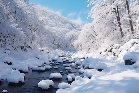 一片雪花背景图片_一片积雪覆盖的雪原，树木繁茂
