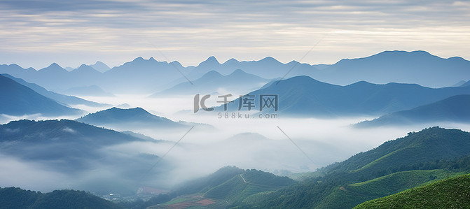 云雾缭绕的山脉和树木的景色