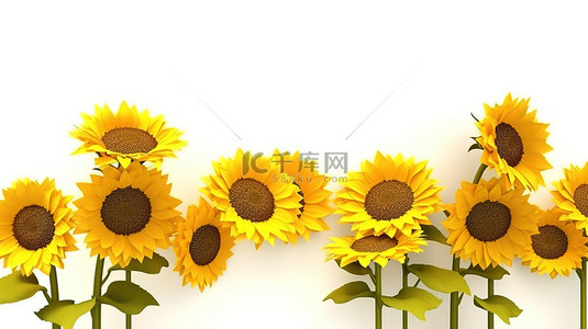明媚春光背景图片_白色背景下的 3D 发光向日葵