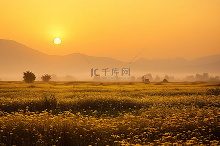 黑银城市夜景背景图片_草地上的一座山上的日落