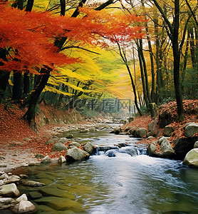 秋山背景图片_秋溪在自然森林里，有美丽的黄叶