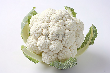 春花椰菜背景图片_白色背景上显示花椰菜