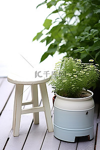 mg浇水背景图片_白色花园凳子，配有一些浇水容器和植物