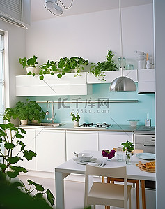 白色小椅子背景图片_现代小厨房，白色墙壁白色橱柜和绿色植物