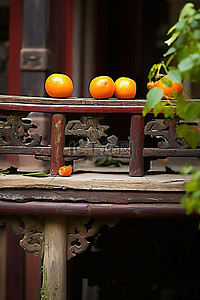 杆树背景图片_戈隆佛寺的橙树和木门