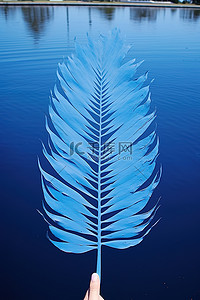 棕榈叶与蓝色的水