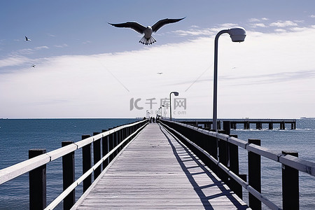 海浪符号背景图片_一个开放的码头，有一只鸟飞过