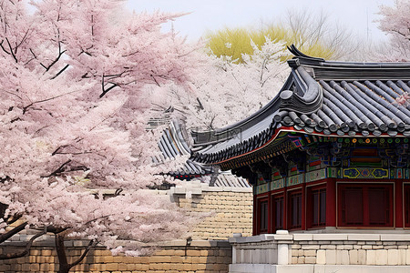 春天旅行背景图片_一栋白色的建筑周围环绕着开满鲜花的树木