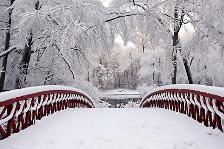 森林边缘树木旁的一座雪桥