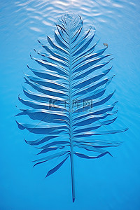 棕榈叶与蓝色的水