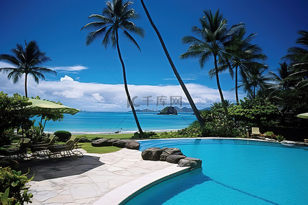 棕榈树背景图片_海滩附近有棕榈叶的游泳池