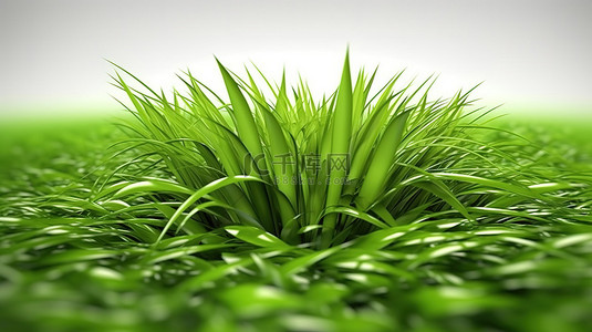 郁郁葱葱的绿草的 3d 插图