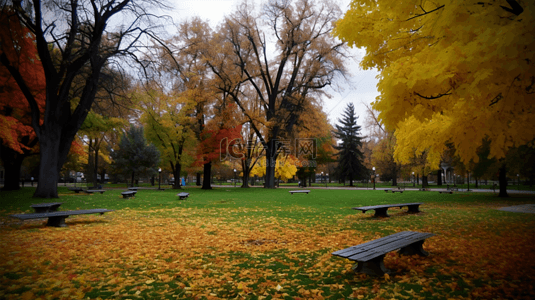 秋季背景公园风景图