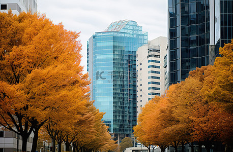 城市周围的高楼大厦