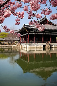 花卉樱花背景图片_一座巨大的石头建筑，上面盛开着樱花