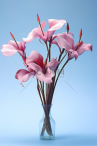 拉布拉多png背景图片_蓝色背景花瓶中的粉色鸢尾花