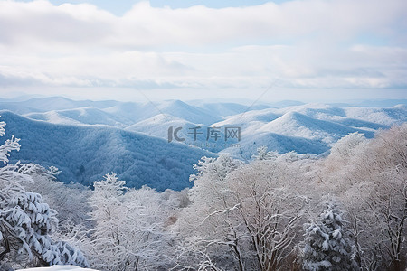 白雪覆盖的山景，多云的天空和树木