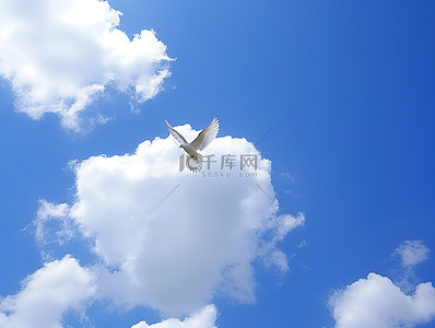蓝天白云围绕着鸟和飞机的白色斑点