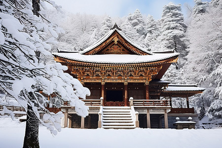 一座被树木包围的白雪覆盖的寺庙