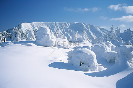 风景上有很多雪