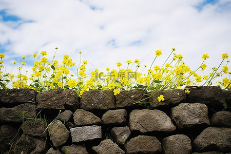 墙壁栅栏背景图片_有黄色花朵和云彩的墙壁