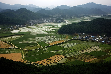 山边的一个村庄，有稻田