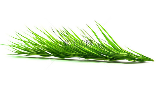 白色背景下孤立的新鲜绿草叶片的 3D 插图