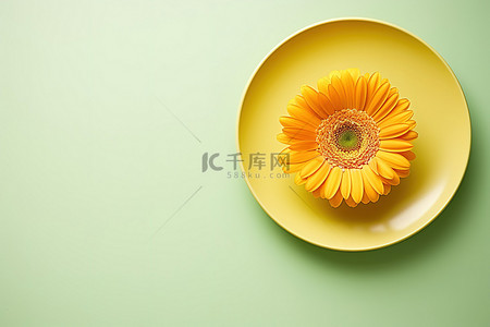 绿色黄色的花背景图片_一朵黄色的花放在绿色的盘子里