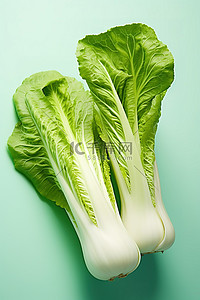 绿色菜叶背景图片_味道鲜亮的表面上有两片绿色的大白菜叶