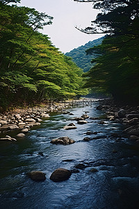 河流沿着森林流淌