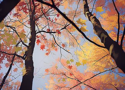 美术美术背景图片_树上和天空下的秋叶 照片背景美术印刷品中的秋叶