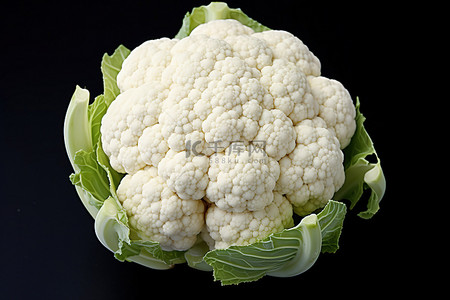 春花椰菜背景图片_白色背景上显示花椰菜
