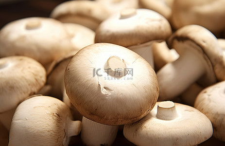 十大健康食品背景图片_四月份适合全家人食用的十大最健康蘑菇